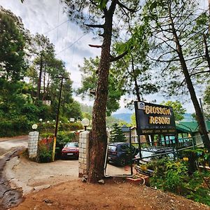 Blossom Resort Kasauli